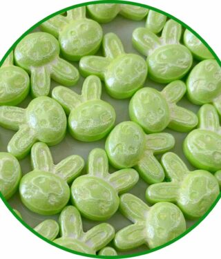 CONEJO VERDE PAGINAWEB